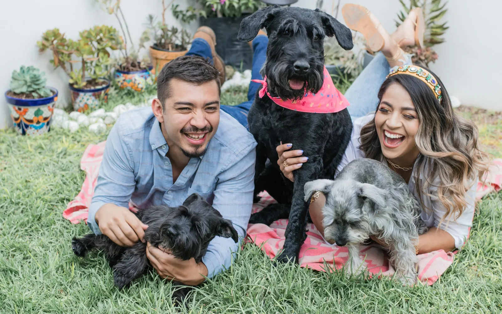 Perro o gato con su familia